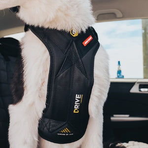 Ezydog Harnais de sécurité Drive, Noir