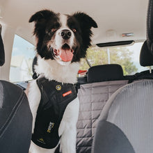 Load image into Gallery viewer, Ezydog Harnais de sécurité Drive, Noir
