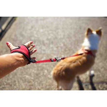 Load image into Gallery viewer, Ezydog Laisse Handy, Noire
