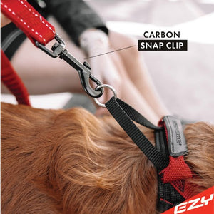 Ezydog Laisse Zero Shock, Grise