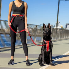 Load image into Gallery viewer, Ezydog Laisse de coureur, Rouge
