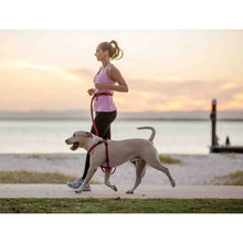 Load image into Gallery viewer, Ezydog Laisse de coureur, Rouge
