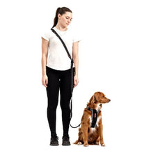 Load image into Gallery viewer, Ezydog Laisse multifonctions Vario 6 Snap Clip, Rouge
