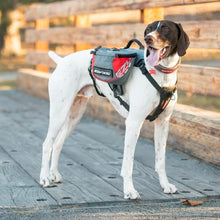 Load image into Gallery viewer, Ezydog Sac à dos Summit, Rouge et gris
