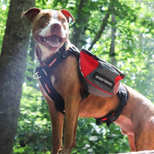 Load image into Gallery viewer, Ezydog Sac à dos Summit, Rouge et gris
