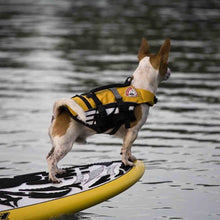 Load image into Gallery viewer, Ezydog Veste de flottaison DFD Micro pour petit chien, Rouge
