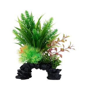 Ludwigia et sagittaire Deco Scapes Aqualife Fluval, 15-20 cm (6-8 po)