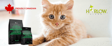 Load image into Gallery viewer, harlow blend nourriture pour chat_le_jardin_des_animaux_-_nourriture_canadienne_pour_chat

