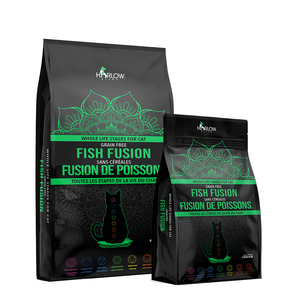Fromm Four Star dog food Zealambder
