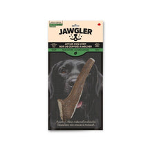 Load image into Gallery viewer, Jawgler Bois de cervidés à mâcher - Entier - Nature sauvage
