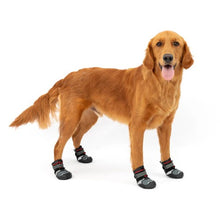 Load image into Gallery viewer, Kurgo Botte pour chien &quot;Blaze&quot; ensemble de 2, Gris et noir
