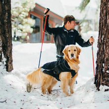 Load image into Gallery viewer, Kurgo Manteau pour chien North Country imperméable avec lumière, Noir
