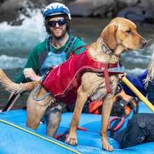 Load image into Gallery viewer, Kurgo Veste de sauvetage Surf&#39;n&#39;turf pour chien, Jaune
