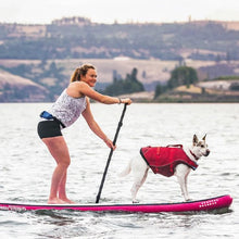 Load image into Gallery viewer, Kurgo Veste de sauvetage Surf&#39;n&#39;turf pour chien, Jaune

