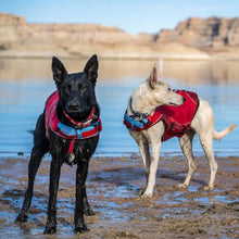 Load image into Gallery viewer, Kurgo Veste de sauvetage Surf&#39;n&#39;turf pour chien, Jaune
