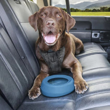 Load image into Gallery viewer, Dogit Non-Slip Stainless Steel Bowl for Dogs, Blue Stripes, 1.15 L (39 fl. oz.)
