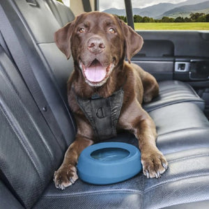 Dogit Non-Slip Stainless Steel Bowl for Dogs, Blue Stripes, 1.15 L (39 fl. oz.)