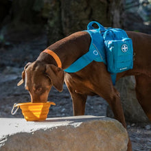 Load image into Gallery viewer, Kurgo Bol rétractable en silicone Collaps-A-Bowl, Bleu
