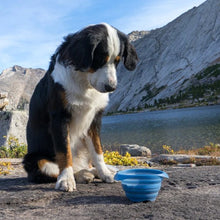 Load image into Gallery viewer, Kurgo Bol rétractable en silicone Collaps-A-Bowl, Bleu
