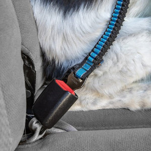 Kurgo Crochet de sécurité Bungee, S'attache directement à la ceinture de sécurité, Bleue