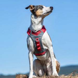 Kurgo Harnais "Journey Air", Rouge
