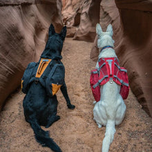 Load image into Gallery viewer, RC Pet Swift Comfort Harness Purple and Pink
