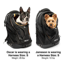 Load image into Gallery viewer, Dogit Explorer Expandable Carry Bag, Blue

