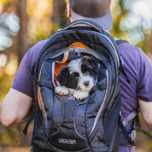 Load image into Gallery viewer, Dogit Explorer Expandable Carry Bag, Blue
