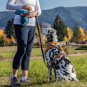 Dogit Explorer Expandable Carry Bag, Blue
