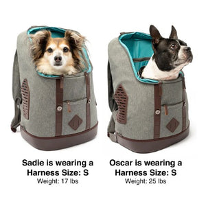Dogit Explorer Expandable Carry Bag, Blue