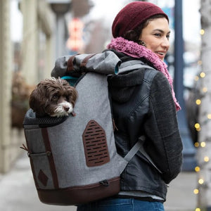 Dogit Explorer Expandable Carry Bag, Blue