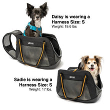 Load image into Gallery viewer, Dogit Explorer Expandable Carry Bag, Blue
