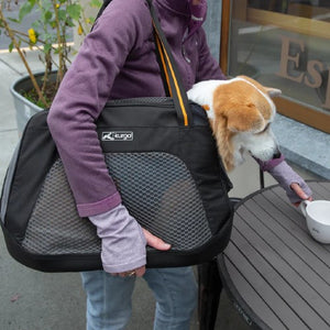 Dogit Explorer Expandable Carry Bag, Blue