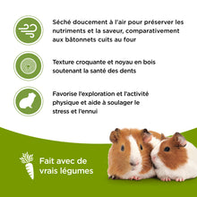 Load image into Gallery viewer, Living World Vegetable Flavor Sticks for Guinea Pigs
