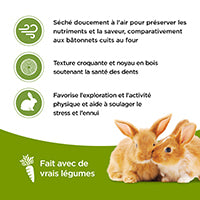 Load image into Gallery viewer, Living World Vegetable Flavor Sticks for Guinea Pigs
