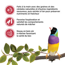 Load image into Gallery viewer, Living World Gâteries pour calopsittes - Bâtonnets aux fruits - Paquet de 2 - 90 gr
