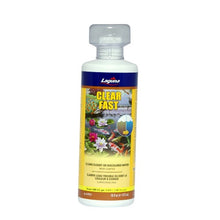 Load image into Gallery viewer, Clarificateur d’eau Clear Fast Laguna
