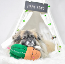 Load image into Gallery viewer, Jouet pour chien peluche Zippy Paws, Carmen le cactus
