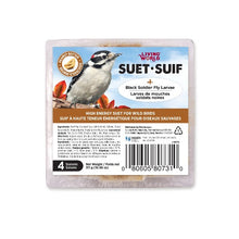 Load image into Gallery viewer, Suif Living World pour oiseaux sauvages avec beurre d'arachide, 311 g (10,96 oz)
