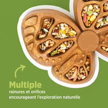 Load image into Gallery viewer, Living World Accessoire de nourrissage comestible  - Papillon - Orange - 180 gr (6,3 oz)

