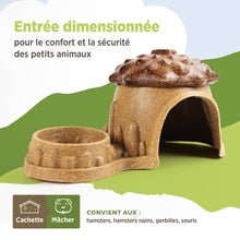 Load image into Gallery viewer, Living World Cachette comestible - Noisonnette - Brune - 230 gr (8,1 oz)
