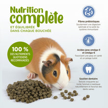 Load image into Gallery viewer, Living World Extrusion Guinea Pig Food

