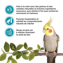 Load image into Gallery viewer, Living World Gâteries pour calopsittes - Bâtonnets aux noix - Paquet de 2 - 90 gr
