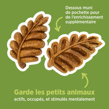 Load image into Gallery viewer, Living World Jouet à mâcher comestible - Feuilles - Brun - Paquet de 6 - 140 gr (4,9 oz)
