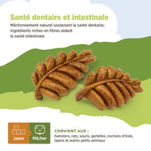 Load image into Gallery viewer, Living World Jouet à mâcher comestible - Feuilles - Brun - Paquet de 6 - 140 gr (4,9 oz)
