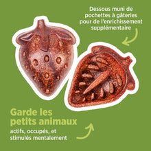 Load image into Gallery viewer, Living World Jouet à mâcher comestible - Fraises - Rouges - Paquet de 3 - 81 gr (2,8 oz)
