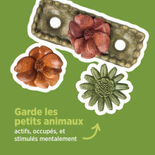 Load image into Gallery viewer, Living World Jouet à mâcher comestible - Lit de fleurs - Multicolore - 150 gr (5,2 oz)
