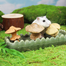Load image into Gallery viewer, Living World Jouet à mâcher comestible - Parcelle de champignons - Multicolore - 170 gr (5,9 oz)
