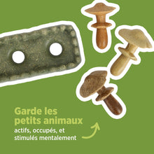 Load image into Gallery viewer, Living World Jouet à mâcher comestible - Parcelle de champignons - Multicolore - 170 gr (5,9 oz)
