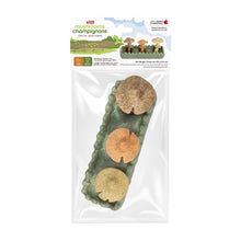 Load image into Gallery viewer, Living World Jouet à mâcher comestible - Parcelle de champignons - Multicolore - 170 gr (5,9 oz)

